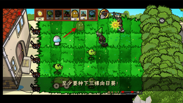 巴黎人线上贵宾厅噩梦随机版随机植物