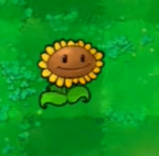 老金沙网站多少乱斗版 老金沙网站多少乱斗版新手攻略